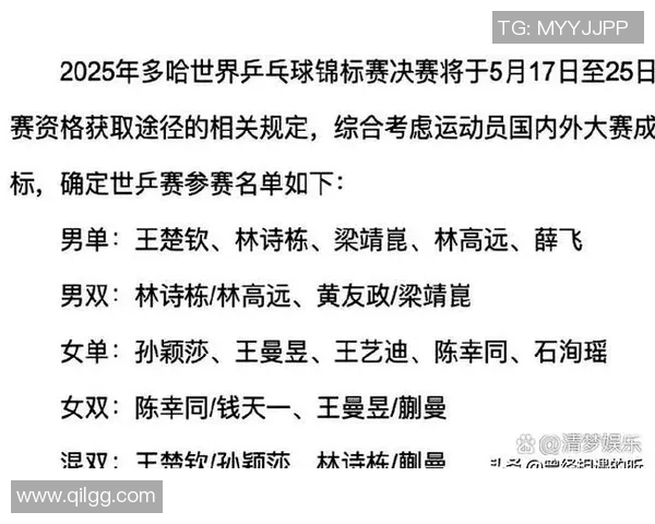 武汉乒乓球队状态分析与未来展望聚焦乒乓球发展新机遇